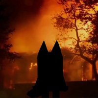 b.als (@b_alsorr) 's Twitter Profile
