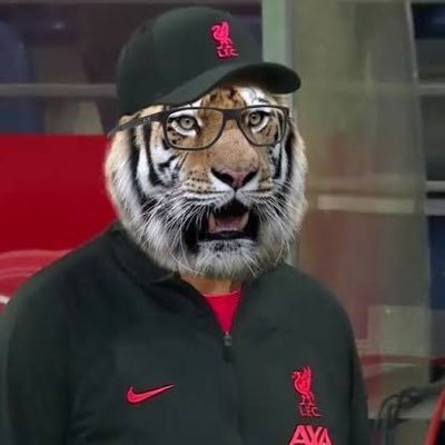 Pancho_19's profile picture. Analista futbolero a morir. Puma a morir. Opinologo de esta 💩 llamada Twitter síganme y los sigo😃