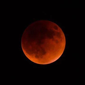 27_lunareclipse's profile picture. we are lunar eclipse!

the lunartics:
@codgerdoffin    brianna luna taccad (tangkad)
marco martires (marites)
gab cerojales (reuben)