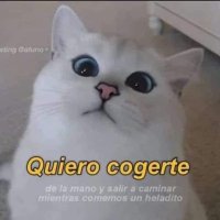 parBlizz (@curtorreon) 's Twitter Profile Photo parBlizz (@curtorreon) 's Twitter Profile Photo