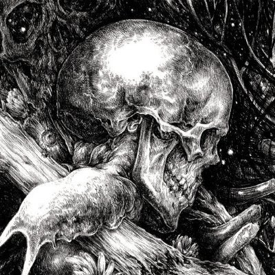 Death Metal Nest Profile
