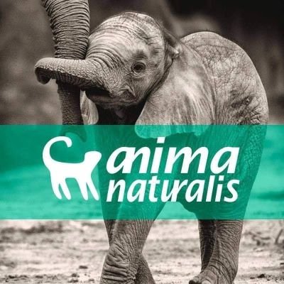 AnimaNaturalis en México. Organización dedicada a establecer, difundir y proteger los derechos de todos los animales. Fundada en febrero del 2007.