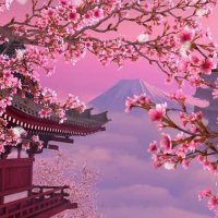 Sa🩷 (@mood_gia_sai) 's Twitter Profile