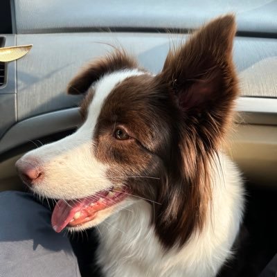 0tensiu's profile picture. 