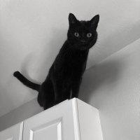 poltergeist. (@poltergeistnj) 's Twitter Profile