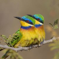 MK (@melakubm12) 's Twitter Profile