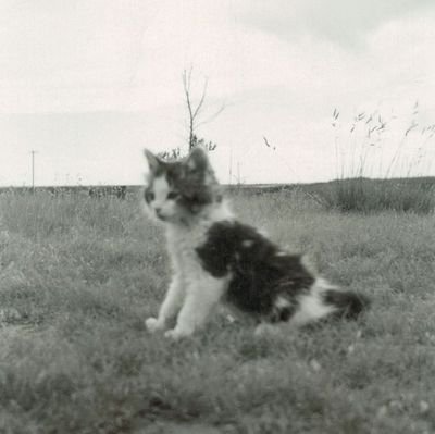 Vploy_'s profile picture. 