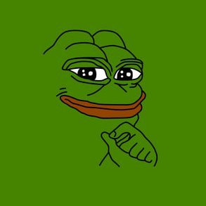 Rach28941681's profile picture. Frogs here?