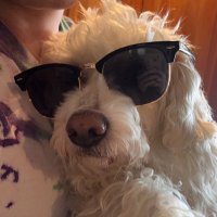 Wyatt (@dub4yah) 's Twitter Profile