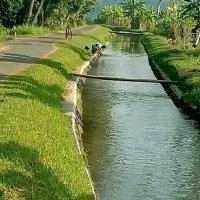 Adi (@wiwinadicandra1) 's Twitter Profile