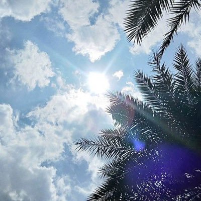 1_saccount's profile picture. Das griechische meta bedeutet jenseits, Metaphysik heißen also jenseits der Physik.