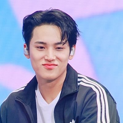 fallin in love with you everyday - Kim Mingyu❤️