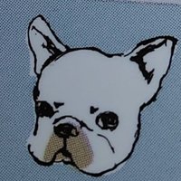 🐕さなぺっち🐾(@sanapetchi) 's Twitter Profile Photo