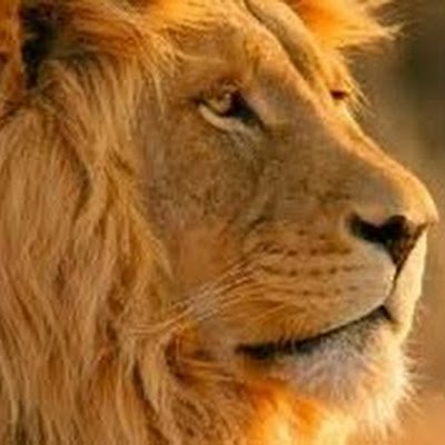 cpaulAbhishek1's profile picture. 