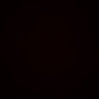 Plant Ecology (@p_ecology) 's Twitter Profile