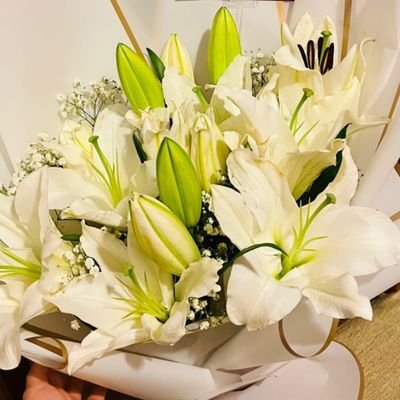 flowlly_'s profile picture. 