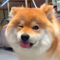 GodShadow14 (@shadow14godd) 's Twitter Profile