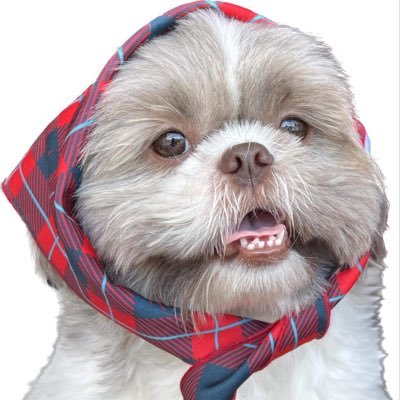 mabellemariano_'s profile picture. 