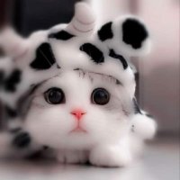 فرز (@uj0jl) 's Twitter Profile