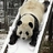 gomtang23's profile image