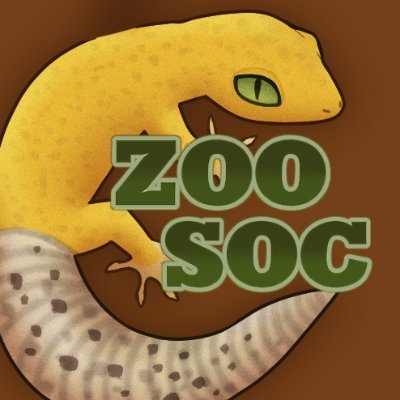 Our planet is home to the strangest, most fascinating creatures imaginable - Let's talk about them!🦦🦑🐍 Official Zoology Society of @UniOfGalway 🐅