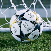 Ailuro (@0xailuro) Twitter profile photo