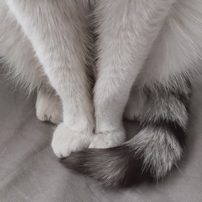 Beyazal1320's profile picture. 📍Diyarbakır