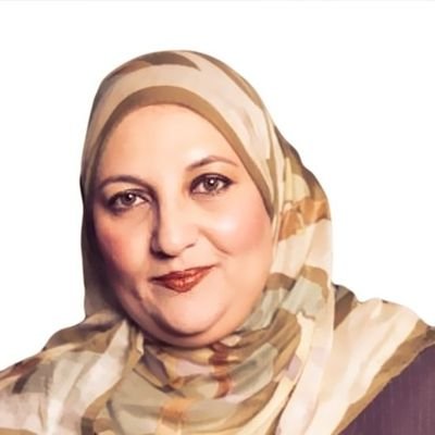 Associate Professor of Communication at University of Maryland, expert on Arab & Muslim media, public speaker, media commentator & analyst, media host, writer.