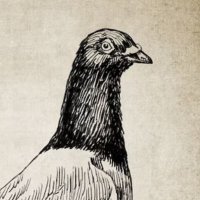 BetterFutureYQR (@betterfutureyqr) 's Twitter Profile Photo