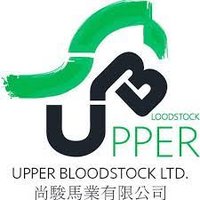 Upper Bloodstock (@upperbloodstock) 's Twitter Profile