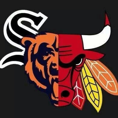Bulls, Bears, & Sox