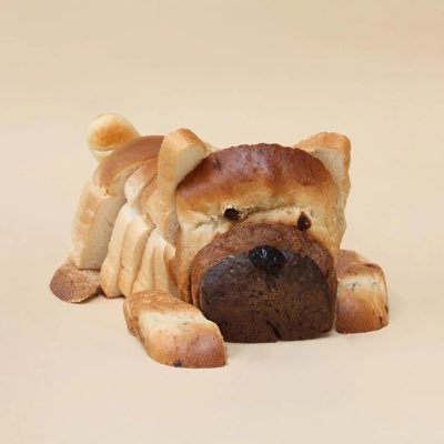 heyyyitszach's profile picture. Just a kid with big dreams | I make adventure/travel themed content. CHECK OUT MY BLOG!