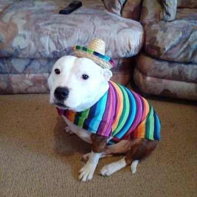 zokitolive's profile picture. I need mental