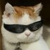 mishitposting (@shitpostingami) Twitter profile photo mishitposting (@shitpostingami) Twitter profile photo