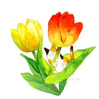 一色いっささんのプロフィール画像
