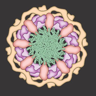 Lab of Michael Rout @RockefellerUniv | NCDIR member (@IntActOme) | Interactomics, NPCs, nuclear transport & making nanobodies

https://t.co/5nEKSfKwZe