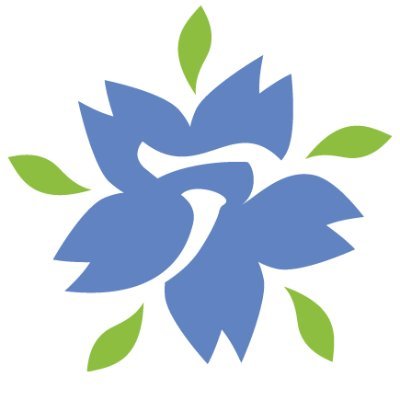 Animatsuriさんのプロフィール画像
