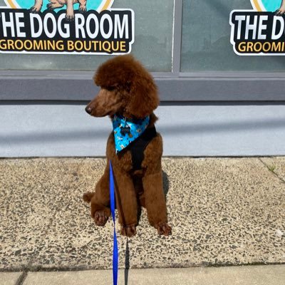 bergotero's profile picture. take what you can and give nothing back 🏴‍☠️