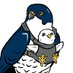 CalFalconCam (@calfalconcam) Twitter profile photo CalFalconCam (@calfalconcam) Twitter profile photo