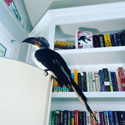 Book review. Bird mom.