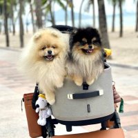 Dee Macky Martini (@deemackymity) 's Twitter Profile