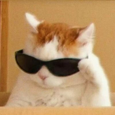 choufck's profile picture. You do matter ♡