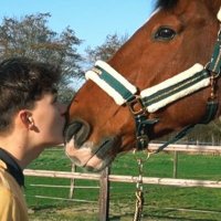 geborenmetvleugels (@ikmisrobin) 's Twitter Profile