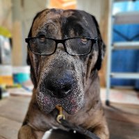 The House of Anarchy (@aka_matthias88) 's Twitter Profile