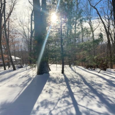 advocates for the eternal preservation of Daylight-Savings Time