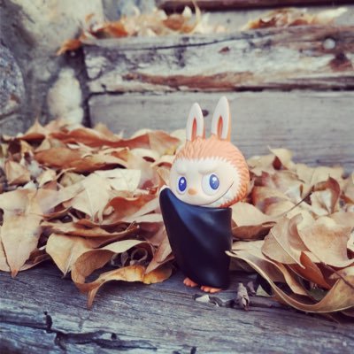 Sharon1861's profile picture. 