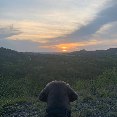 StringshotSteve's profile picture. SHOW UP. STAND UP. SPEAK UP. No DM’s, please