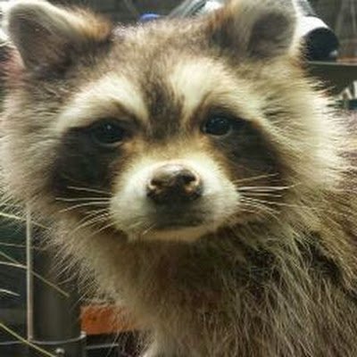 joseesc06618626's profile picture. 