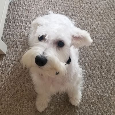 KmanFla's profile picture. 