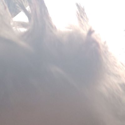 ltsvance's profile picture. 